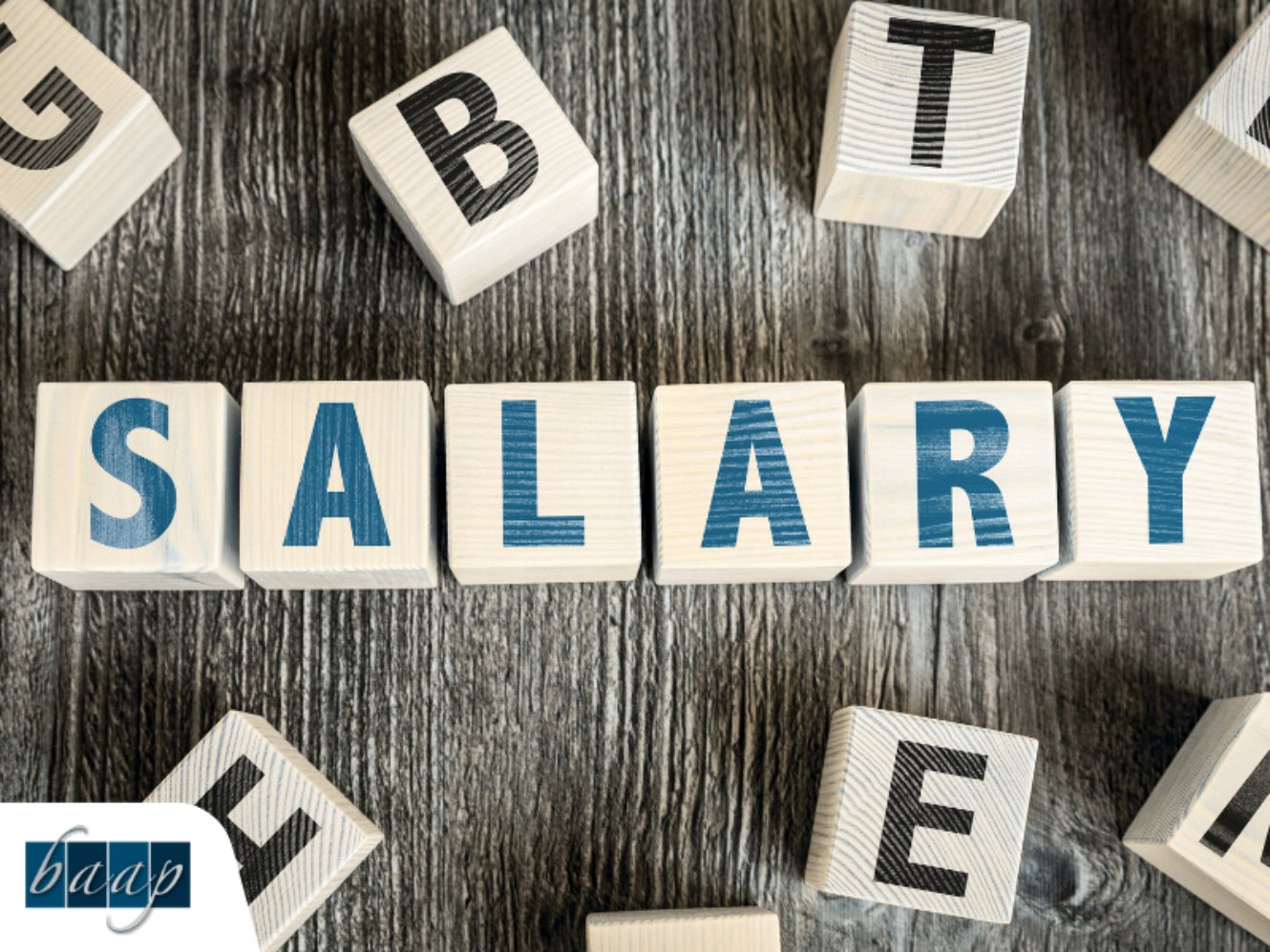 Wooden blocks spelling salary representing S Corp reasonable compensation